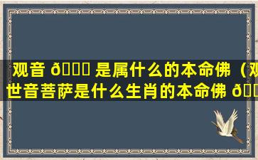 观音 🐋 是属什么的本命佛（观世音菩萨是什么生肖的本命佛 🌸 ）